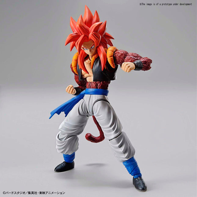 BAS5058298, Super Saiyan 4 Gogeta Spirits Figure-rise Standard Model Kit, from Dragon Ball