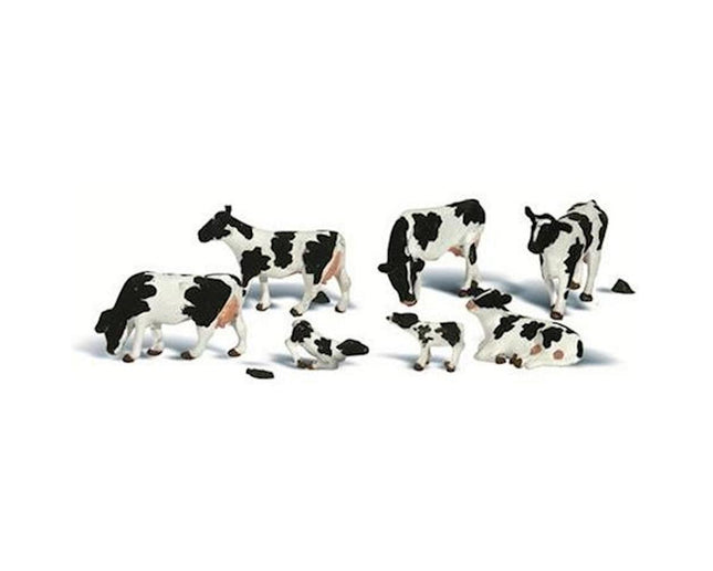 WOOA2187, N Holstein Cows