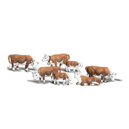 WOOA2767, O Hereford Cows