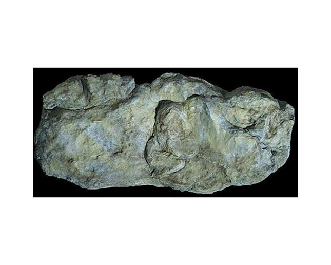 WOOC1242, Rock Mold, Washed Rock