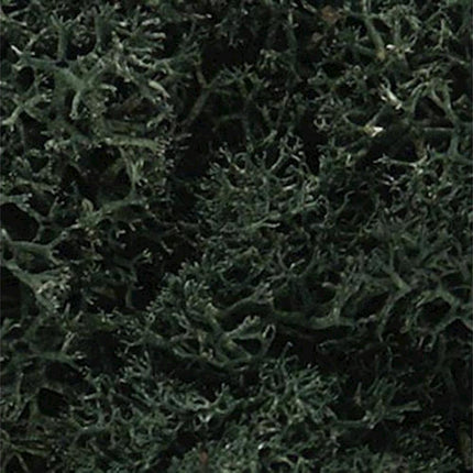WOOL164, Lichen Bag, Dark Green/82 cu. in.
