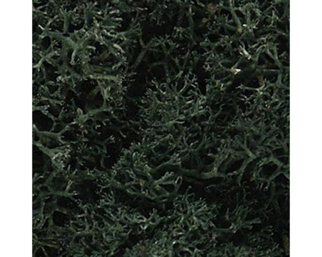 WOOL164, Lichen Bag, Dark Green/82 cu. in.