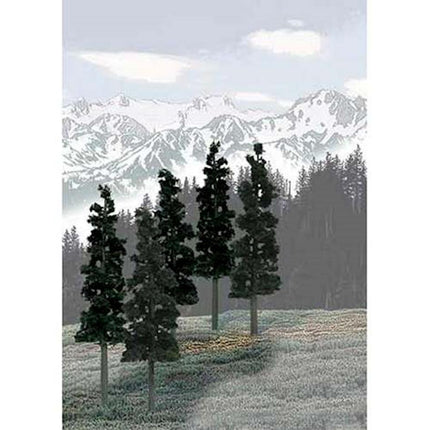 WOOTR1582, Value Trees, Conifer 6-8" (12)